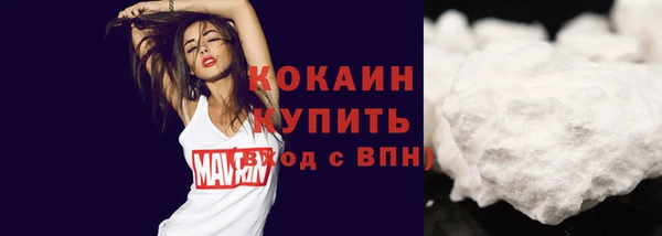 герыч Мегион