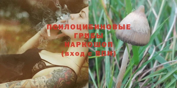 экстази Медвежьегорск