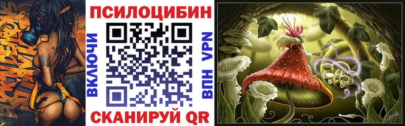 Галлюциногенные грибы прущие грибы  продажа наркотиков  Мглин 